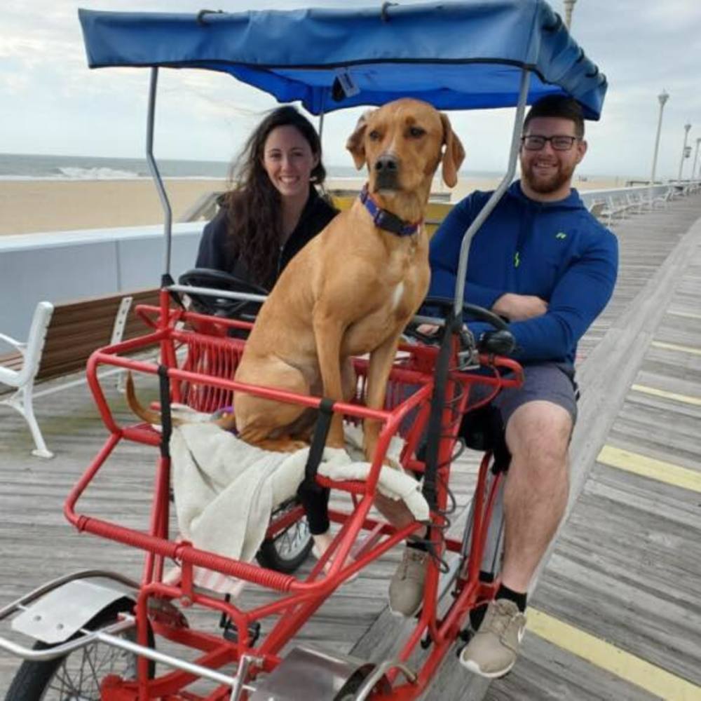 Meet your Posher, Eva